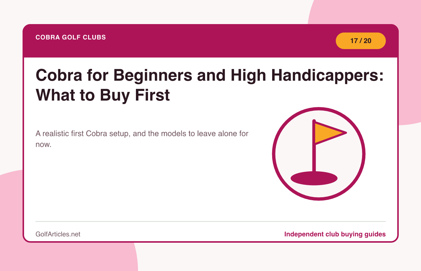 Cobra for Beginners and High Handicappers: What to Buy First illustration