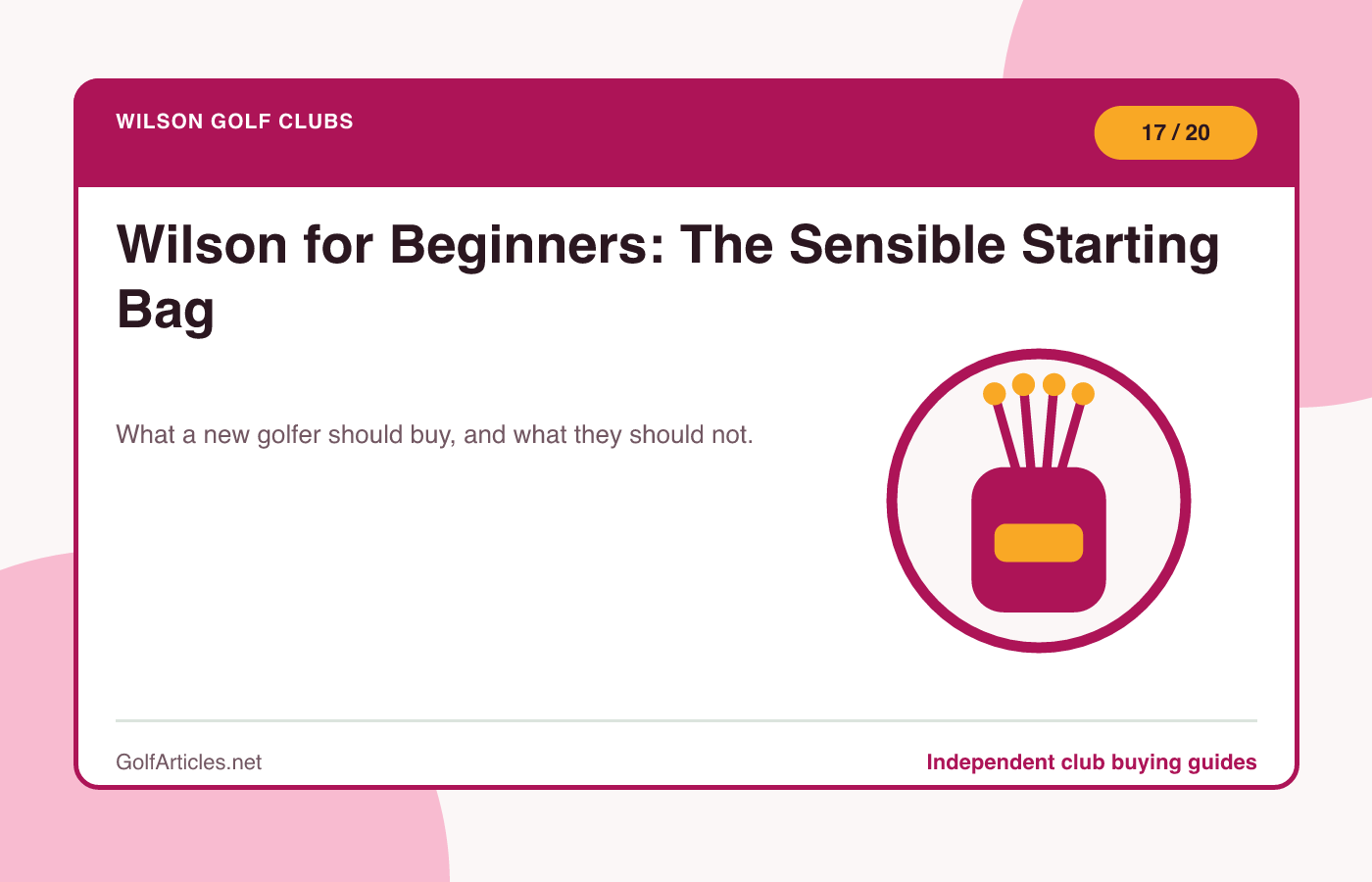 Wilson for Beginners: The Sensible Starting Bag illustration